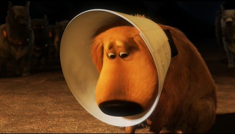 6 Alternatives to the Classic ‘Cone of Shame’ Up Movie Quotes, Up Pixar, Cone Of Shame, Pixar Movies, Disney Stuff, Disney Dream, Great Movies, Disney Love, Disney Magic