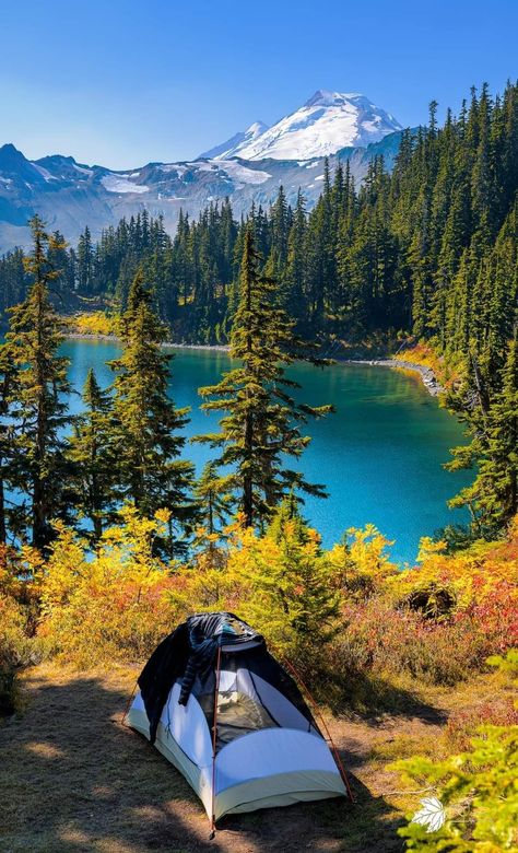 Chain Lake, Mount Baker, Washington, USA Baker Lake Washington, Mount Baker Washington, Pnw Trip, Pnw Travel, Nature Places, Mount Baker, Mountain Scenery, Wonders Of Nature, Washington Usa