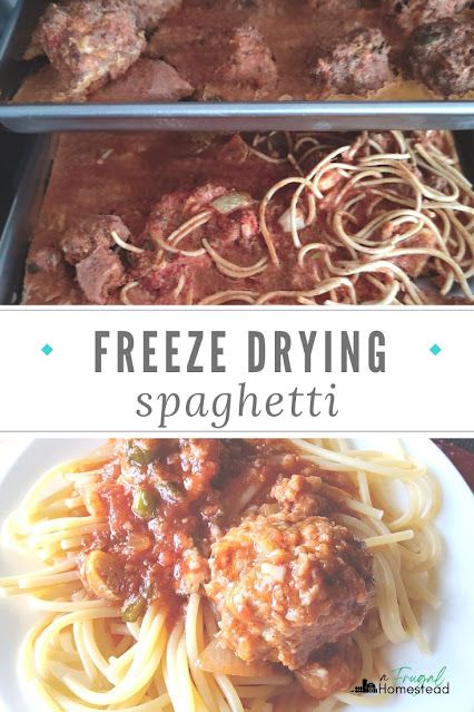 Freeze drying meals like freeze dried spaghetti and meatballs is a great way to create food storage but also cut back on meal prepping during a busy w How To Freeze Dry Marshmallows, Freeze Dried Meals Recipes, Best Freeze Dried Meals, Freeze Drier Recipes, Freeze Dry Potatoes, Meals To Freeze Dry, Freeze Dried Meal Ideas, Things To Freeze Dry, How To Freeze Dry Food At Home