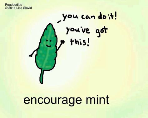 Just a little "encourage mint" for you. Funny Diet Quotes, Punny Puns, Diet Quotes, Humor Mexicano, Cute Puns, Bad Puns, Julia Child, High Five, Funny Puns