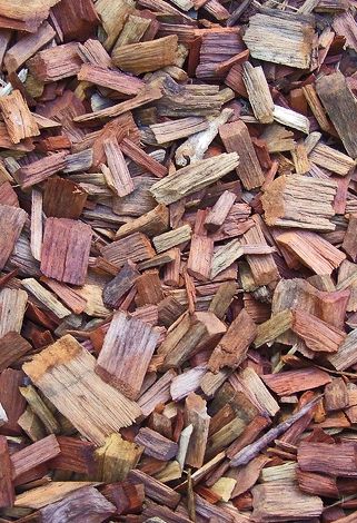 Object Refrences, Cedar Chips, House Of Leaves, Palmer House, Ocean House, Wood Chips, Rainier National Park, Childhood Nostalgia, Haunted Houses