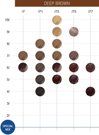 Color Touch | Wella Professionals Touch Chart, Wella Hair Color Chart, Professional Hair Color Chart, Red Hair Color Chart, Mixing Hair Color, Demi Hair Color, Demi Permanent Hair Color, Hair Chart, Cinnamon Hair Colors