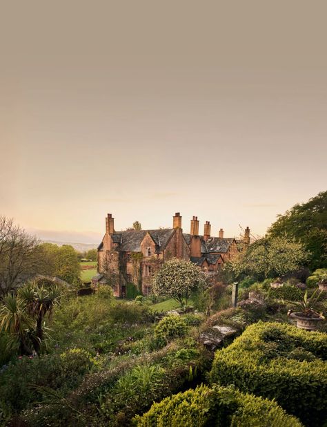 A century-old garden deep in the Devonshire countryside | House & Garden Tom Massey, House Countryside, Magnolia Soulangeana, Spanish Bluebells, Naturalistic Garden, Garden Magazine, London Family, Old Manor, Herbaceous Border