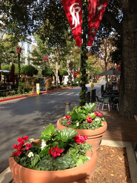 Santana Row, San Jose San Jose Aesthetic, Santana Row San Jose, Santana Row, Cali Trip, Charleston Style, Village Shop, Charleston, Cali, San Jose