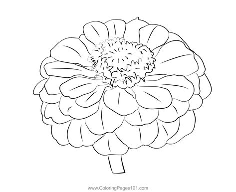 Zinnia Coloring Page Zinnia Flowers Drawing, Drawing Coloring Pages, Template Craft, Challenge Instagram, Flowers Drawing, Zinnia Flowers, Drawing Challenge, Free Kids, Printable Coloring