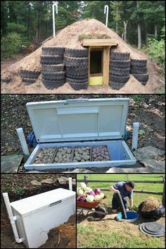 Preserving Produce, Case Sotterranee, Root Cellars, Doll Magazine, Cellar Ideas, Preserve Food, Root Cellar, Vegetable Storage, Long Term Storage