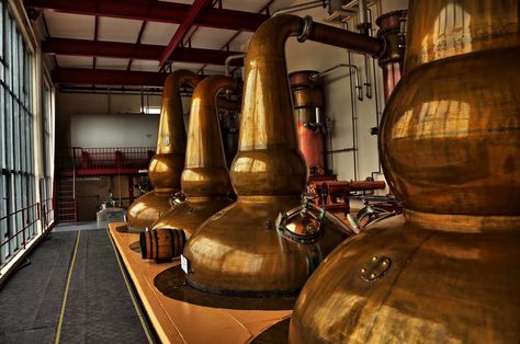 The copper stills of the GlenDronach Whisky Distillery near Huntly, Aberdeenshire. Whisky Distillery, Whiskey Still, Copper Pot Still, Copper Still, Whiskey Distillery, Blended Whisky, Whisky Bar, Whisky Bottle, Pot Still