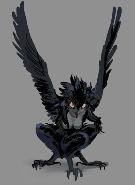 Anthro Bird Reference, Crow Wing Reference, Pretty Bird Wings, Harpy Eagle Character Design, Holding Bird Pose, Bird Feet Reference, Bird Legs Reference, Bird Legs On Human, Raven Fursona