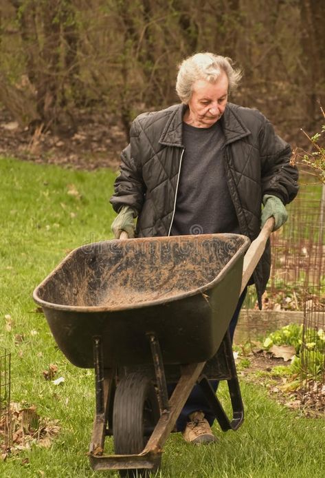 Woman pushing wheelbarrel. Senior woman pushing wheelbarrel while doing lawnwork #Sponsored , #Ad, #sponsored, #pushing, #lawnwork, #woman, #Woman Granny House, Wheel Barrow, Lawn Work, Portfolio Template, Garden Tools, Stock Images Free, Photo Image, Wheel, Portfolio