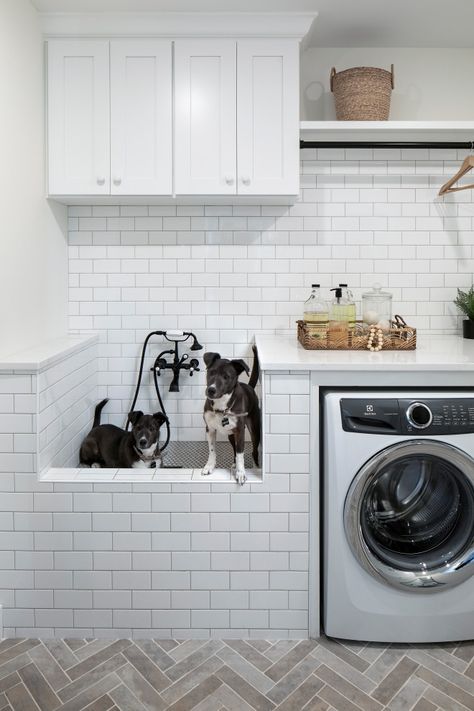 2020 Artisan Home Tour - Laundry Room - Minneapolis - by Housing First Minnesota | Houzz Landmark Photography, Alma Homes, Utility Room Organization, Traditional Laundry Room, Pet Washing Station, Grey Laundry Rooms, Custom Laundry Room, Laundry Room Pictures, Shea Homes