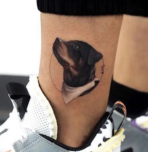 The 14 Cutest Puppy Tattoo Designs Inspired by Rottweilers Rottweiler Tattoo Ideas, Bailey Tattoo, Pet Memorial Tattoos, Boxer Dog Tattoo, Rottweiler Tattoo, Doberman Tattoo, Puppy Tattoo, Pet Memorial Tattoo, Pattern Tattoos