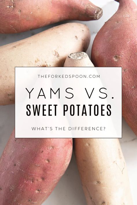 They may both grow underground and appear similar on the surface, but what are the real differences between sweet potatoes and yams? In this post, we will debunk myths, share similarities, and point out the differences between these fall favorites: Sweet Potatoes vs. Yams! Yams Vs Sweet Potatoes, Yam Recipes, Butternut Squash Muffins, White Yam, Potato Pudding, Yam Or Sweet Potato, Healthy Pantry, Yams Recipe, Best Healthy Dinner Recipes