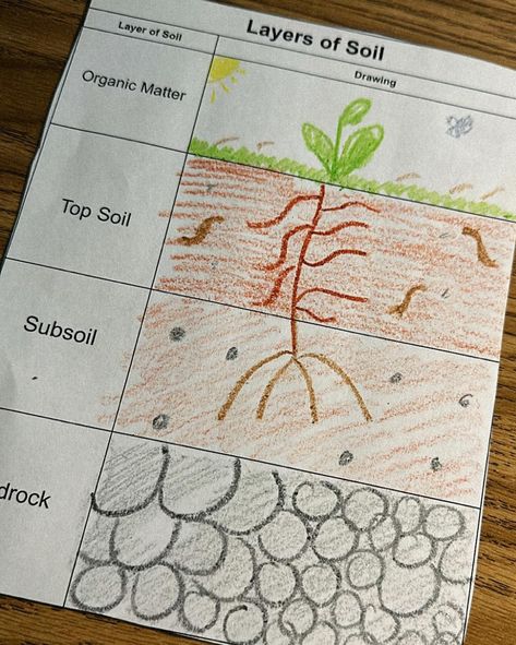 Dirt cups were a HIT today as we wrapped up our rock and soil unit 🪱🌱🪨 We learned about the different layers of soil and the texture/makeup of each one. Then we added a food to our cup that represented that layer of soil. Of course, we had to top with some organic matter. My kids had been looking forward to this for weeks and rated it well above a 10/10 😋 Soil Experiments For Kids, Rock Layers Activity, Soil Layers For Kids, Layers Of Soil, Soil Activities, Texture Makeup, Dirt Cups, Division Worksheets, We Rock