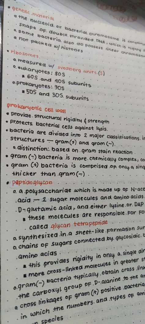 Microbiology Study, Prokaryotic Cell, Cell Wall, Study Material, Microbiology, Study Materials, Bullet Journal, Stain, Wall