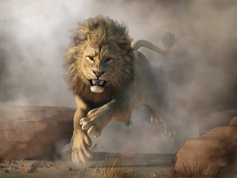 An angry lion charges right at you #lion #art Lion Attack, Super Tips, Lion Photography, Lion Wallpaper, Lion King Art, Lion Painting, Lion Images, Male Lion, Big Cats Art