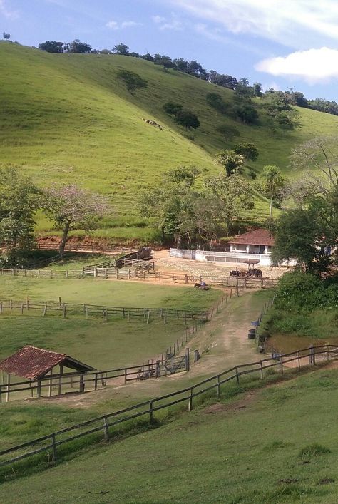 Brazilian Farm, Brazil Houses, Horse Barn Ideas Stables, Farm Lifestyle, Timber House, Ranch Life, Back Road, Horse Barns, Village Life