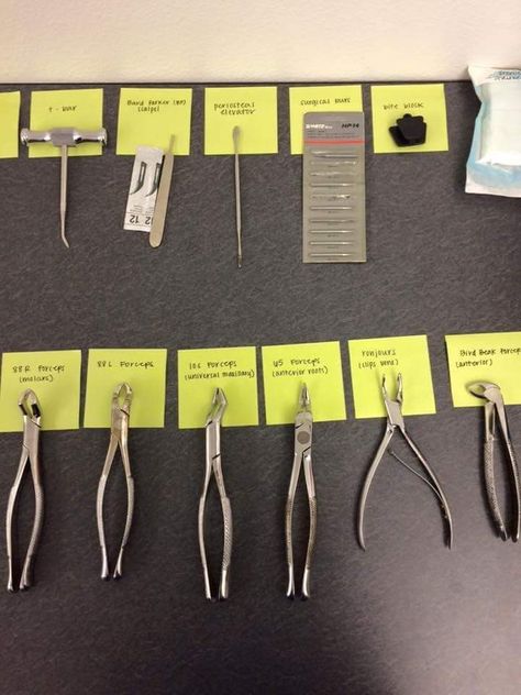 Dental Nurse Revision, Dental Instruments Names, Dental Abbreviations, Dental Tools Names, Extraction Instruments, Dental Assistant Study Guide, Dental Assistant School, Good Teeth, Dental Assistant Study