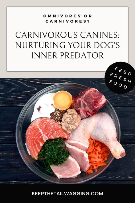 Fact: Dogs possess carnivorous traits such as sharp teeth, short digestive tracts, and a preference for meat, reinforcing their evolutionary adaptation as hunters and meat-eaters, making a meat-centric diet essential for their health. Carnivore Diet For Dogs, Raw Meat Dog Food Recipes, Dog Raw Food Diet For Beginners, Raw Diet For Puppies, Raw Food Diet For Small Dogs, Raw Meat Dog Diet, Home Cooked Dog Food, Raw Feeding For Dogs, Raw Dog Food Diet