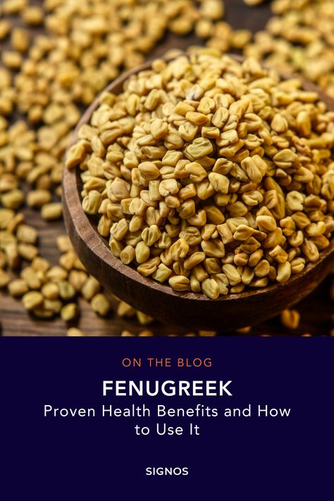 Fenugreek contains powerful antioxidants and can provide numerous benefits. However, for some, it might have certain detrimental side effects. Here's everything you need to know to decide if fenugreek is a healthy ingredient you want to include in your diet. Fenugreek Tea, Fenugreek Benefits, Lactation Smoothie, Health Fitness Food, Edible Seeds, Health Dinner, African Shirts, Fenugreek Seeds, Health Dinner Recipes