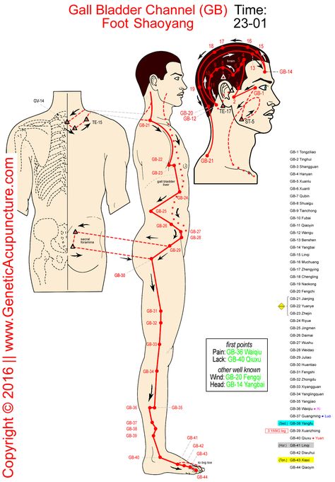 Meridian Acupuncture, Traditional Chinese Medicine Acupuncture, Acupuncture Points Chart, Meridian Points, Acupuncture Benefits, Gall Bladder, Acupressure Therapy, Hand Reflexology, Reflexology Chart