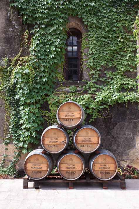 Photowall Ideas, Napa Valley Wineries, Wine Vineyards, Italy Wine, Wine Barrels, Wine Country California, California Wine, Climbing Vines, Wine Clubs