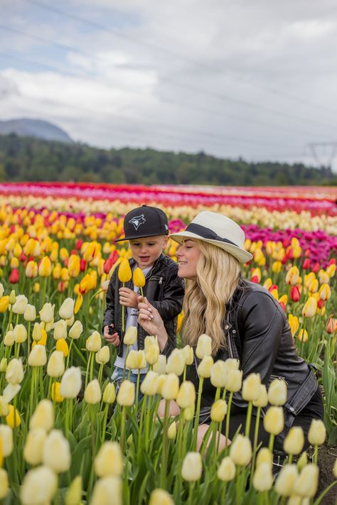 Lifestyle Photoshoot Tulip Photoshoot, Colourful Tulips, Holland Amsterdam, Spring Family Pictures, Keukenhof Gardens, Dutch Tulip, Baby Announcement Pictures, Lifestyle Photoshoot, Spring Photoshoot