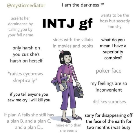 Mbti Wallpaper, Mbti Comics, Enfp Intj, Intj Humor, Mbti Istj, Intj Women, Type Of Girlfriend, Intj T, Intj And Infj