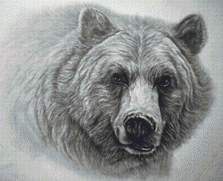 click here to view larger image of Grizzly Bear (chart) Grizzly Bear Drawing, Portrait Artists, Bear Drawing, Chart Pattern, Best Portraits, Counted Cross Stitch Kits, Grizzly Bear, Bear Pattern, Cross Stitch Charts