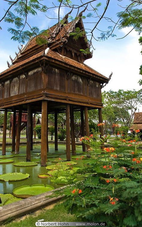 Thai Stilt House, Building On Stilts, Traditional Thai Architecture, Modern Kampung House, Thai House Traditional, Thai Houses, Houses On Stilts, House Pond, Thai House Design