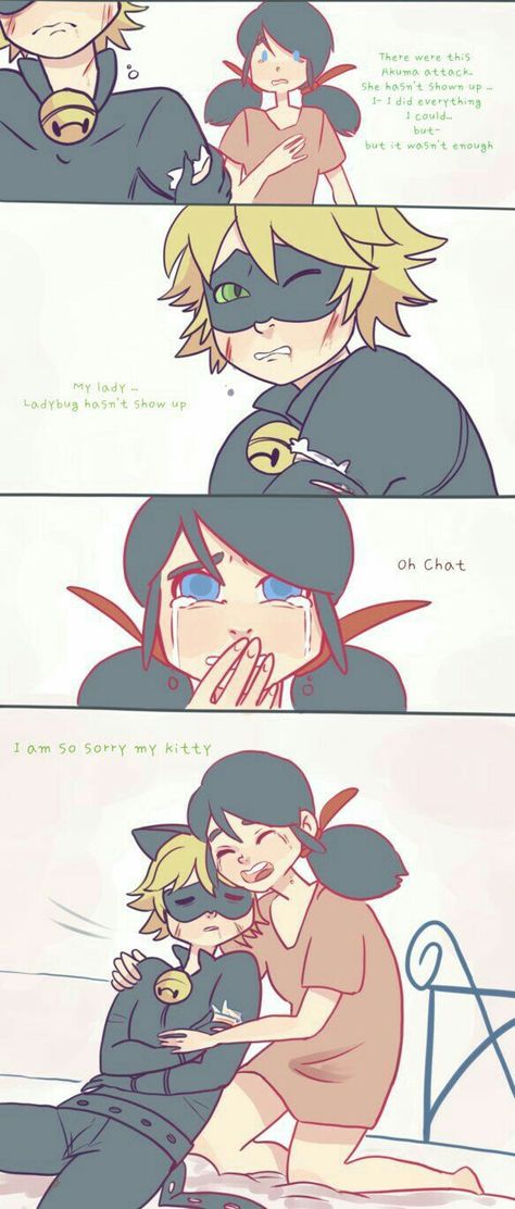 Comics Ladybug, Mlb Comics, Catty Noir, Miraculous Ladybug Memes, Miraculous Ladybug Wallpaper, Miraculous Ladybug Fanfiction, Marinette And Adrien, Miraculous Ladybug Movie, Miraculous Ladybug Fan Art