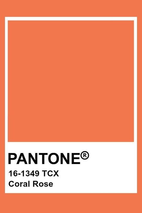 Pantone Colors Bright, Orange Color Pantone, Bright Pantone, Orange Colour Palette, Pantone Tcx, Pantone Colours, Pantone Color Chart, Pantone Swatches, Pantone Palette