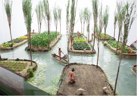 Floating Gardens, Floating Garden, Interesting History, Alam Semula Jadi, Permaculture, Hydroponics, Green Thumb, Classroom Ideas, Gardening Tips