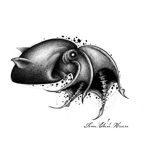 Vampire squid custom dark art blackwork design illustration by tim van horn tattoo Vampire Squid Tattoo, Vampire Squid Drawing, Vampire Octopus, Horn Tattoo, Squid Drawing, Blender Projects, Vampire Squid, Squid Tattoo, 2024 Tattoo