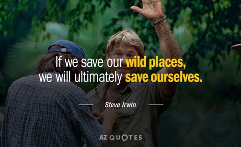 Wildlife Quotes, Places Quotes, Nature Quotes Trees, Terri Irwin, Environmental Quotes, Four Horseman, Irwin Family, Place Quotes, Crocodile Hunter