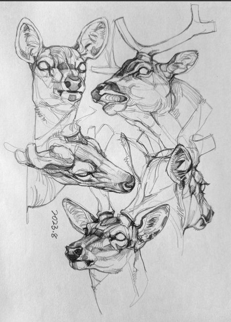 Deer Drawing, Deer Illustration, Animal Drawings Sketches, Deer Art, Creature Drawings, Dark Art Illustrations, Arte Inspo, Animal Sketches, Arte Fantasy