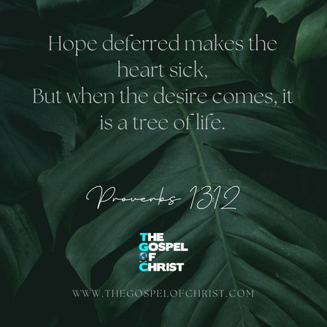 Hope deferred makes the heart sick,
But when the desire comes, it is a tree of life.

Proverbs 13:12

 #treeoflife #hope #proverbs #DailyBibleVerse #TGOC #TheGospelOfChrist #Bible Hope Deferred, Life Proverbs, Proverbs 13, Daily Bible Verse, Daily Bible, A Tree, Proverbs, Tree Of Life, Bible Verse