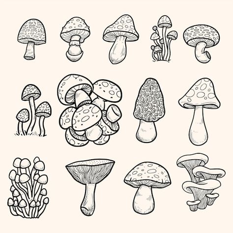 Mushroom Doodle, Fungi Illustration, Plant Doodle, Small Doodle, Doodle Art Flowers, Mushroom Tattoos, Mushroom Drawing, Drawing Step By Step, Drawing Step