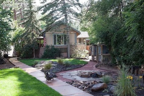 House For Sell, Novel Inspiration, Flowering Plants, Trendy Home, Spring Home, 2 Bed, Colorado Springs, Grasses, Mulch