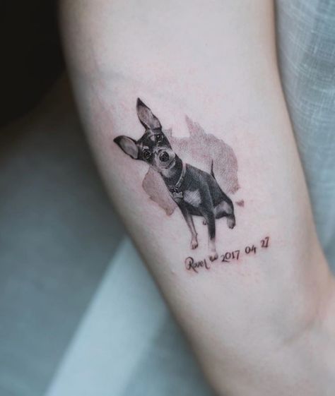 Min Pin Tattoo, Pet Portrait Tattoos, Tattoo Tv Shows, Comic Book Wallpaper, Tattoos Dog, Small Dog Tattoos, Pawprint Tattoo, Portrait Tattoos, Tattoo Dog