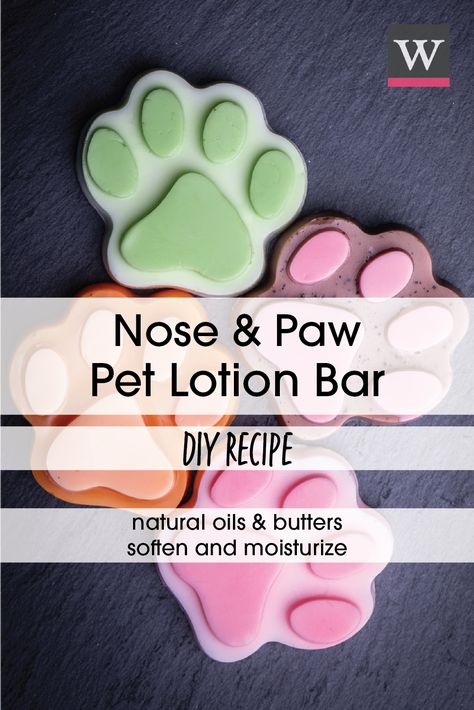 Lotion Bar Recipe, Dog Paw Balm, Lotion Bars Recipe, Pet Treats Recipes, Dog Biscuit Recipes, Healthy Dog Treats Homemade, Dog Treats Homemade Recipes, Diy Dog Treats, Lotion Bar