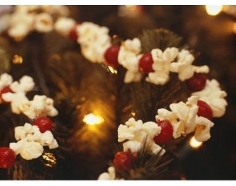 How to Keep a Cranberry and Popcorn Garland Fresh | eHow.com    http://www.ehow.com/how_8060303_keep-cranberry-popcorn-garland-fresh.html Popcorn Tree, Dehydrated Citrus, Creative Ornaments, Popcorn Garland, Christmas Creative, Outdoor Christmas Tree, Winter Bird, Citrus Fruits, Natural Christmas