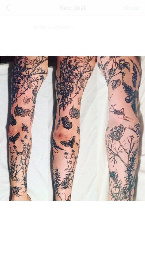 Garden Tattoo Ideas Sleeve, Plant And Animal Tattoo Sleeve, Aged Floral Tattoo, Botanical Leg Tattoos Women, Nature Themed Leg Sleeve Tattoo, Leg Sleeve Floral, Botanical Tattoo Sleeve Men, Botanical Sleeve Tattoos For Women, Botanical Tattoo Leg Sleeve