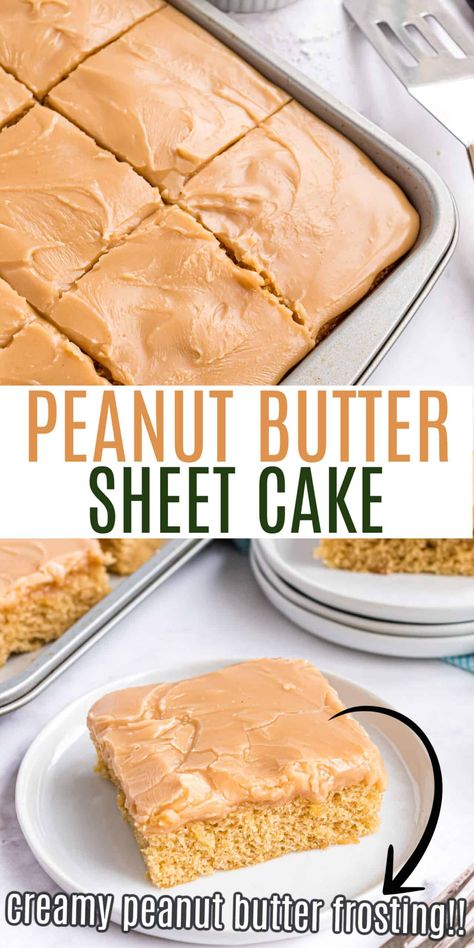 This Peanut Butter Sheet Cake is an unbelievably moist, rich, peanut butter cake with creamy peanut butter frosting poured on top. Similar to Texas Sheet Cake, but for the peanut butter lover instead! Peanut Butter Sheet Cake Texas, Easy Peanut Butter Sheet Cake, Easy Texas Sheet Cake Recipe, Peanut Butter Sheet Cake Recipe, Peanut Butter Texas Sheet Cake, Vanilla Sheet Cakes, Peanut Butter Sheet Cake, Jif Peanut Butter, Peanut Butter Dessert Recipes