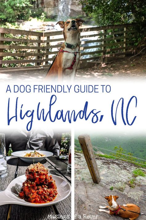 Highlands Nc Things To Do, Nc Travel, Retirement Goals, Cashiers Nc, Gorges State Park, State Park Camping, Hiking Places, Highlands Nc, Carolina Mountains