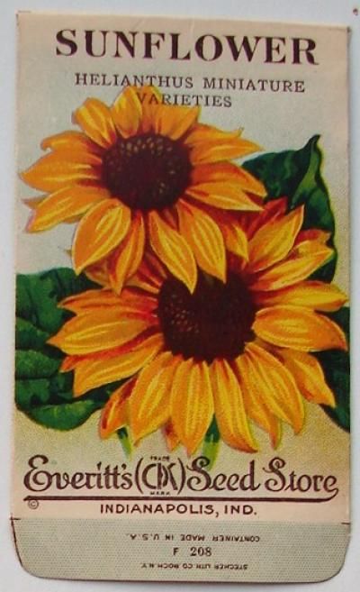 Shelf Painting, Seed Packet Template, Sunflower Journal, Sunflower Prints, Garden Seeds Packets, Vintage Seed Packet, Vintage Seed Packets, Flower Seeds Packets, Vintage Sunflower