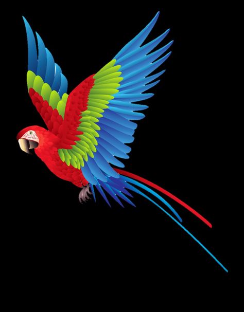 शादी की तस्वीरें, Bird Png, Dove Pictures, Red Background Images, Birds Photography, Lightroom Presets For Portraits, Green Screen Background Images, Black Background Photography, Beach Background Images