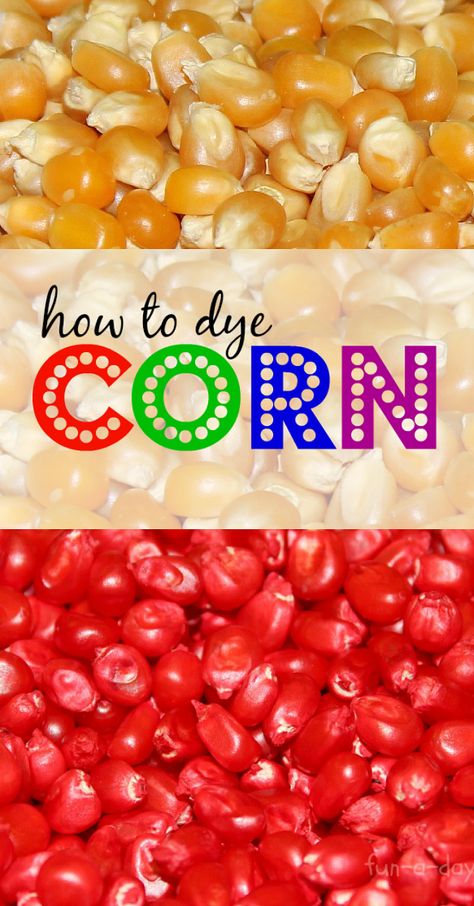 How to Dye Corn Kernels from Fun-A-Day Colored Popcorn, Sensory Tubs, Sensory Tub, Godly Play, Baby Activities, Sensory Boxes, Sensory Bottles, Sensory Table, Corn Kernel