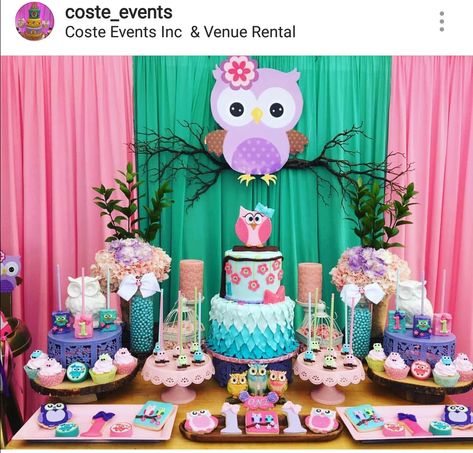 Owl Theme Birthday Party Dessert Table and Decor Owl Party Ideas, Owl Themed Birthday Party, Owl First Birthday, Owl 1st Birthdays, Owl Themed Parties, Baby First Birthday Themes, Owl Baby Shower Theme, Owl Birthday Parties, Owl Birthday