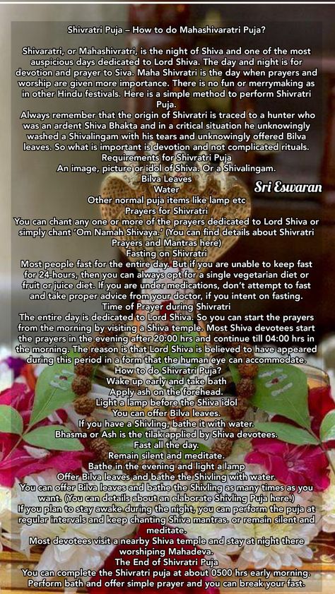 Shivratri Caption, Shiv Ratri, Krishna Consciousness, Maha Shivratri, Hindu Rituals, Shiva Parvati Images, Life Mantras, Hindu Dharma, Spiritual Artwork