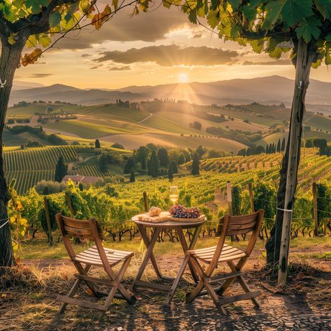 Tuscany Italy Landscape, Tuscany Italy Countryside Villas, Villa In Tuscany, Tuscany Italy Aesthetic, Tuscany Italy Countryside, Wine Yard, Tuscany Aesthetic, Italian Winery, Italy Countryside